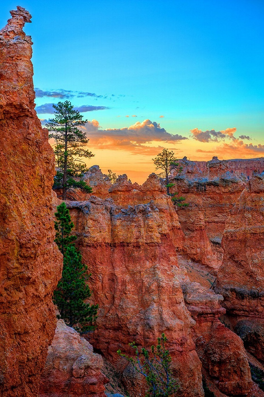 sublim-ature:  Bryce Canyon, UtahGreg Boratyn 