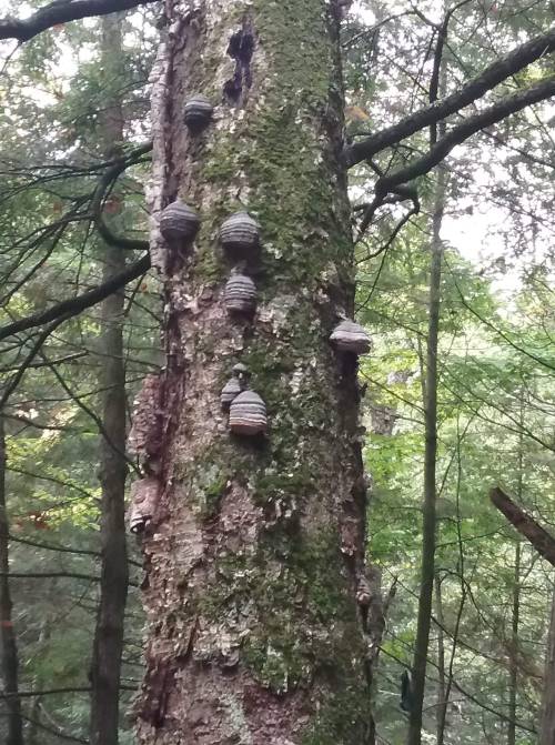Nature Truly Is Beautiful