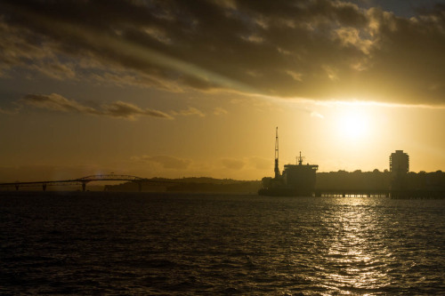 Mt. Victoria + Devonport, North Shore, Auckland.