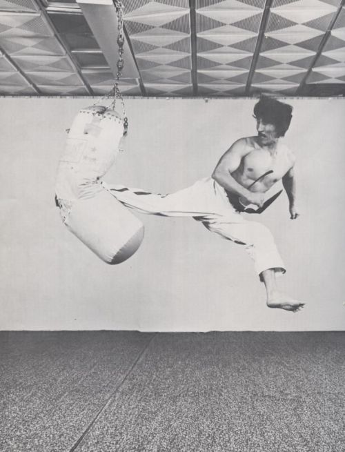 the-history-of-fighting:  Jumping Spinning Back Kick.imgarcade.com