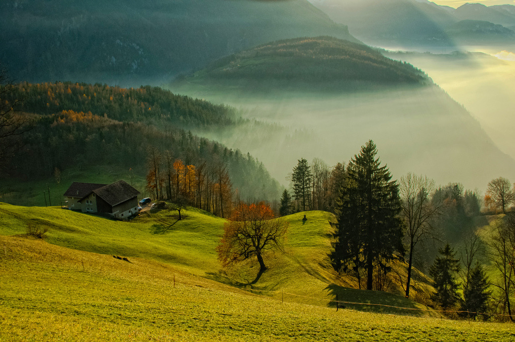 woodendreams:   (by ceca67) 