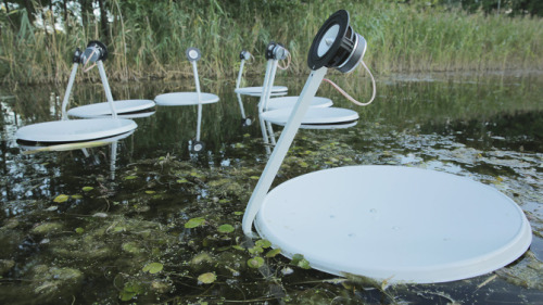 SWANS / Marco BarottiSWANS Video“Swans” seems like a harmless and naive name for the rad