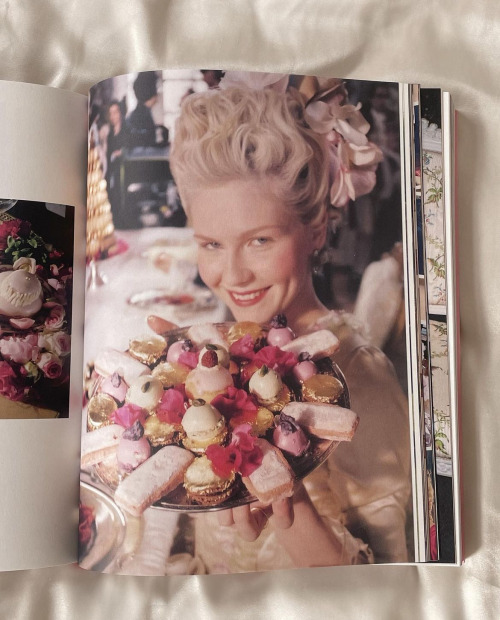 Pics Of The Baby Pink Sofia Coppola Archive Book 🎀💞✨