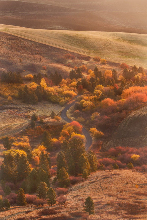 wnderlst:  Palouse, Washington | Dylan Toh porn pictures