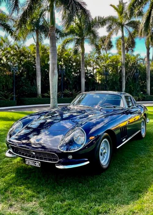 frenchcurious:Ferrari 275 GTB 07371 1965. - source Classic Ferrari’s Road &amp; Track.