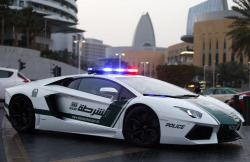 diamond-fresh:  Dubai police cars 