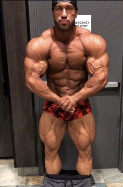 Antoine Vaillant