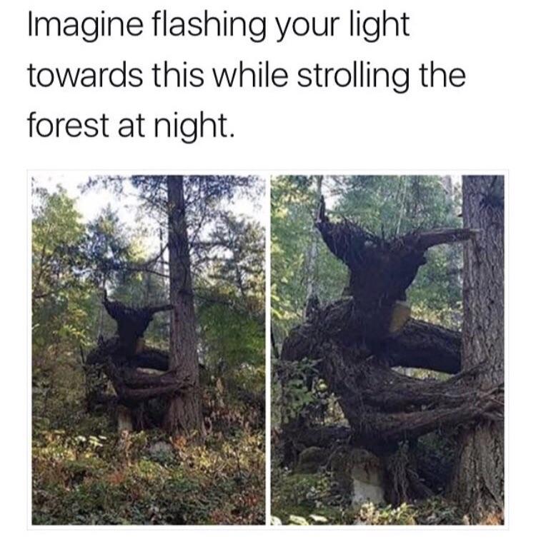 psychedelicfelon:🏃🏿🏃🏿🏃🏿🏃🏿