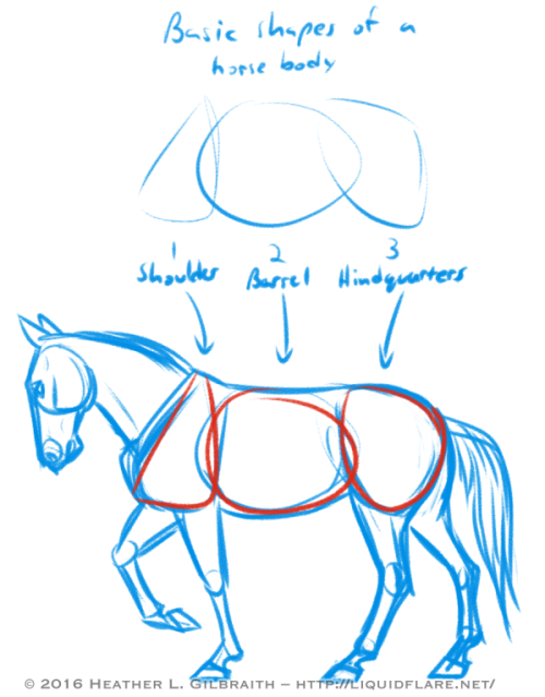 rheallart: – Horse Drawing Tips – Hello, all! I thought I’d put this together to 