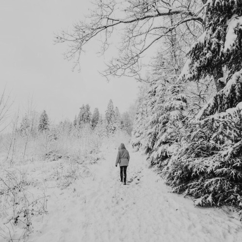 thehound:moodboard: december  I heard a bird sing in the dark of December. A magical thing. And swee