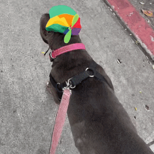 Funnypupgender Stimboard For Anon :•]