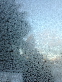 lilspirit:  frosted windows