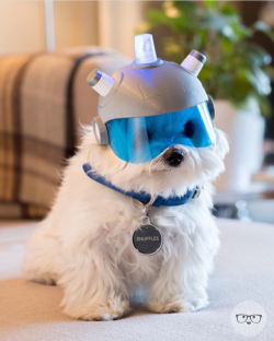 awwww-cute:  Where are my testicles Summer?