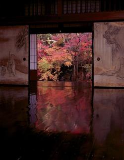kiishimu:  And they ask me why I love Autumn. Jisson-in Temple, Iwakura, Kyoto 