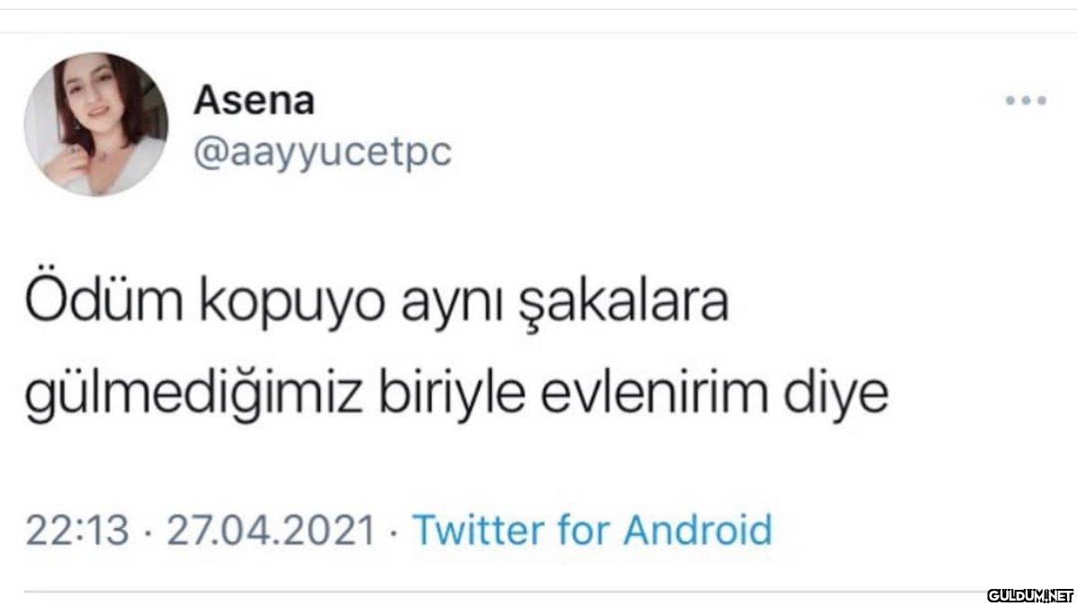 Asena @aayyucetpc Ödüm...