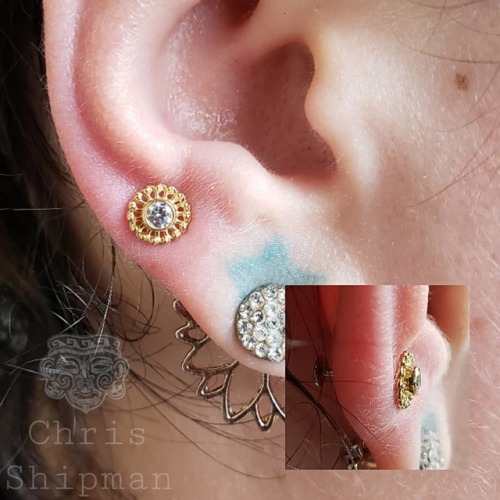 High earlobe piercing with a big ol’ 18k yellow gold Virtue end from @anatometalinc. Its a rea