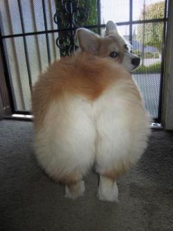 Toinfinityandbeyonce: My Anaconda Dont   Apieceofbread Do You Have The Buns???? :Ooooo