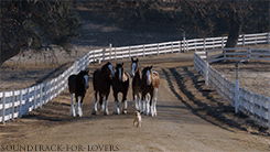 missbackwoodsbarbie:  Makes me tear up EVERY time !! 