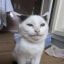phuckablephatkat