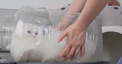 ewkpop:pouring milk