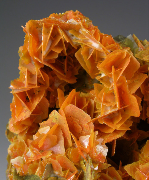 jetgreguar:  bijoux-et-mineraux:  Wulfenite - Kuruktag Mts, Xinjiang, China   doritos crystals revealed 