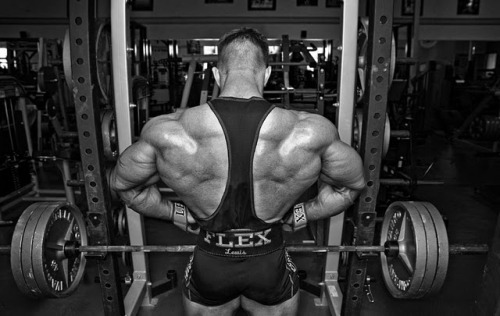 drwannabe:  Flex Lewis