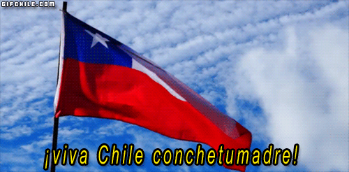 gifchile:  Rebloguea si eres Chileno ctm
