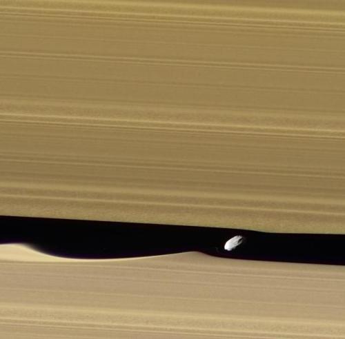 spaceexp: Saturn Moon Daphnis Orbiting In The Keeler Gap And Creating Gravitational Wakes via reddit