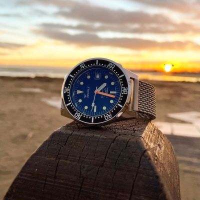 Instagram repost
watch.grow  In its own natural habitat! 🌊🌊🌊🦈 [ #squalewatch #monsoonalgear #divewatch #watch #toolwatch ]