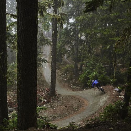 thebicycletree: Home turf. | @world_enduro Rider, @leishner returns to the roots of her riding for 