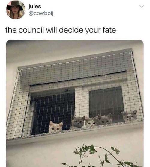 justcatposts: I trust them