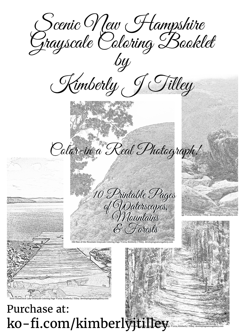 Scenic New Hampshire Grayscale Coloring Booklet by Kimberly J Tilley. 10 printable coloring pages. $5 at ko-fi.com/kimberlyjtilley. Mountains, lighthouse, forest trail, waterfalls, a lake, a covered bridge and an iconic staircase.