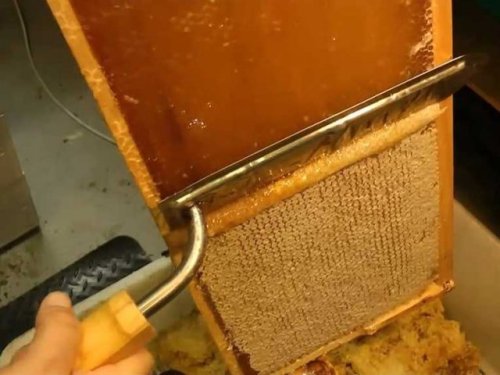 (via Beekeepers get honey out of honeycombs by slicing them with hot knives – and it looks inc