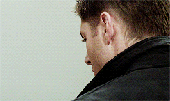 dean winchester + profile        