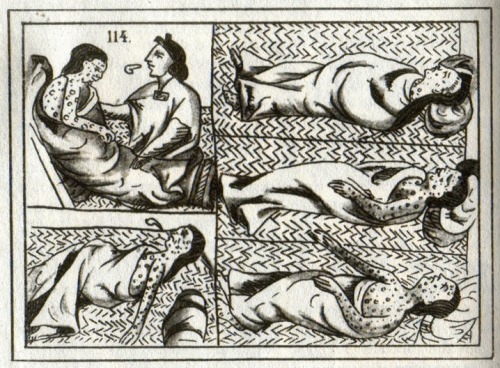 Page from a 16th century Aztec codex showing the devastating effects of smallpox. Smallpox and other