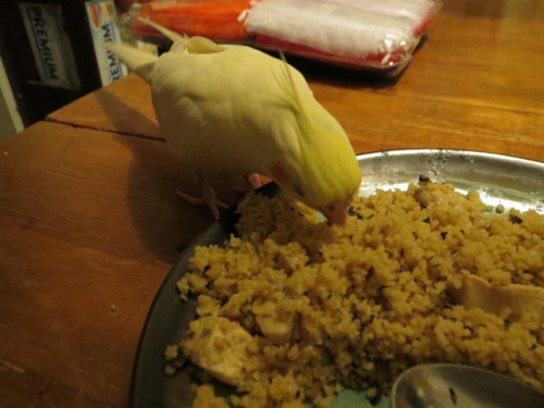 Couscous!!1! OMNOMNOMNOM