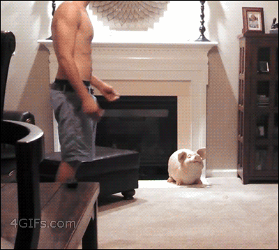 innocent-girl-with-a-dirty-mind:  raserus:  ayykae:  whorederves:  biliouskaiju:  My new favorite gif set.   I fucking love cats  I fucking lost it at the vacuum.  cats are aliens and i love them  This made my morning so much better