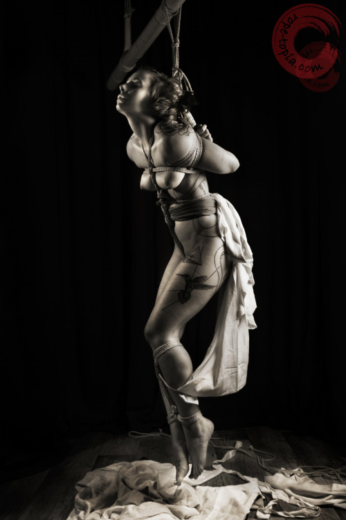 gorgone-kinbaku:  Ropes by Wykd_DavePhotography by Clover BrookModel : Gorgonehttp://rope-topia.com/http://gorgone-kinbaku.com 