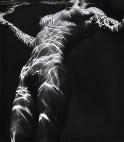 hotparade:  Brett Weston - Nude Under Water