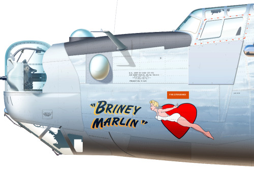 donotdestroy:  Consolidated B-24 Liberator Aircraft illustration 