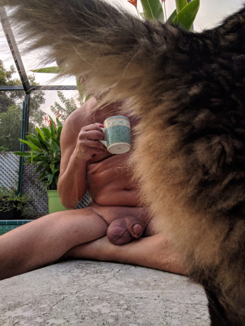 When your cat does not approve of you drinking coffee naked…