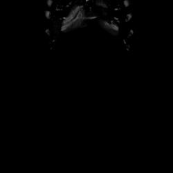 renovatiosilvaticus:  he looked right through me— with his x-ray vision.