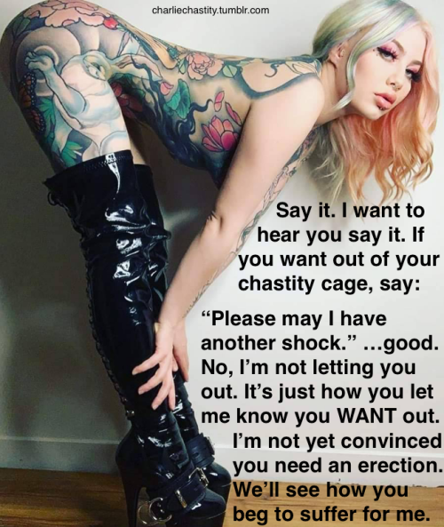 Say it. I want to hear you say it. If you want out of your chastity cage, say: “Please may I have another shock.” &hellip;good.No, I’m not letting you out. It’s just how you let me know you WANT out. I’m note yet convinced you need an erection.
