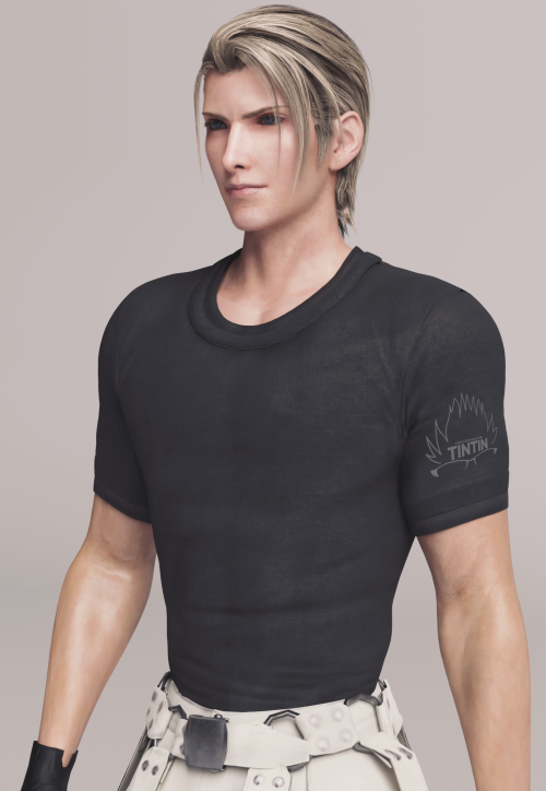 I recently saw a great artwork of Rufus in a black t-shirt by @y_skk on Twitter and it inspired me t