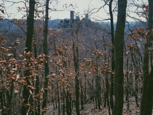 wildlxng: very exhausting (but worthwhile) hike to burg thurant with @litheriel today!