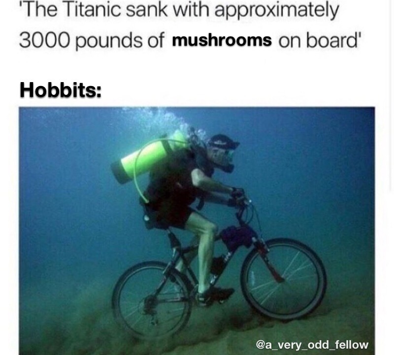 lotrreactionmemes:  Of course they’d take a bike underwater, they can’t swim.