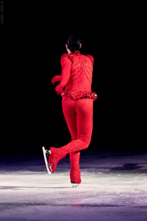 Gallery: ’Tis the Season… | Binky’s @JohnnyGWeir Blog binxblog.com/1RCkGto. Gorgeous a