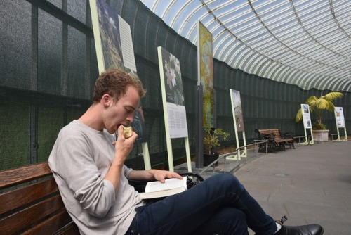 So, I Saw This Reader Eating An Apple Next To Eve, Beautiful And Frightened Eve. I Must Say, It Is A
