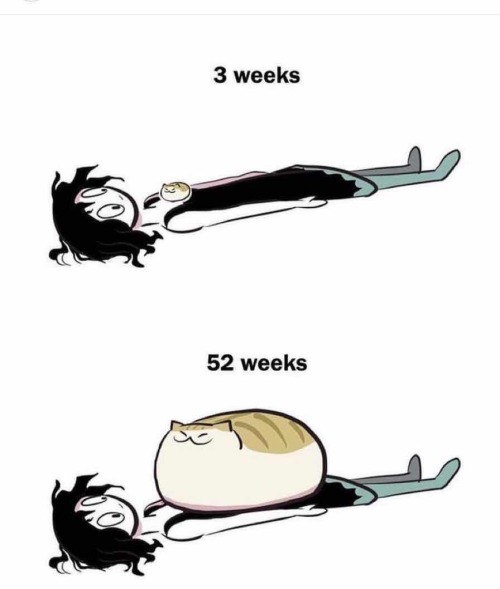 Me When, Me When Hrt