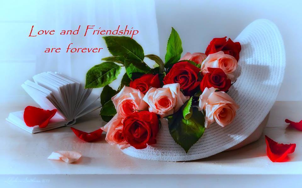 ♥ Mademoiselle Rose ♥